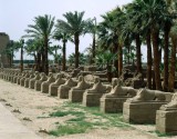 Sfinxengalerij-luxor.jpg