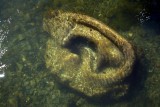 Water3740.jpg