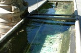 Waterbak-fontijn.jpg
