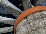 Detail-22.jpg
