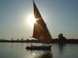 Egypx0936.jpg