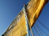 Egypx0942.jpg