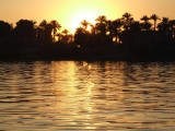 Egypx1023.jpg