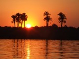 Egypx1075.jpg