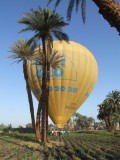 Egypx1917.jpg