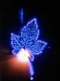 Kirlian001.jpg
