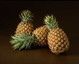 Ananas.jpg