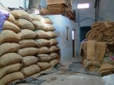 india-5232.jpg