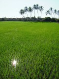 india-7738.jpg