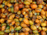 india-8972.jpg