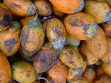 india-8974.jpg