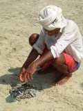 india-9746.jpg