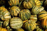 Pompoen3746.jpg