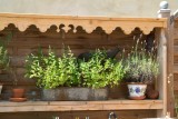 Spices6218.jpg