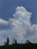 Wolk2101.jpg