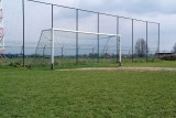 Goal-3839.jpg