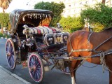 Egypt0961.jpg