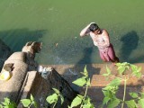 india-3089.jpg