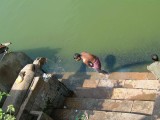 india-3094.jpg