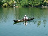 india-3942.jpg