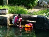 india-3948.jpg