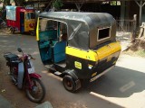 india-5597.jpg