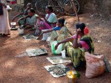 india-5980.jpg