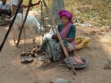 india-8779.jpg