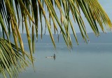 Meer-visser008.jpg