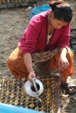 Nepal1329.jpg