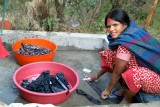 Nepal2427.jpg