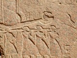 Egypt0711.jpg