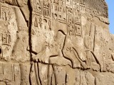 Egypt0798.jpg