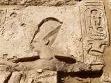 Egypt0802.jpg