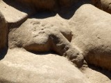 Egypt0808.jpg