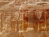 Egypx0195.jpg