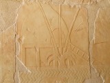Egypx0200.jpg