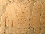 Egypx0206.jpg