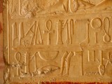 Egypx0213.jpg