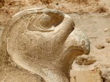 Egypx0224.jpg