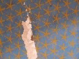 Egypx0226.jpg