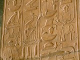 Egypx0254.jpg