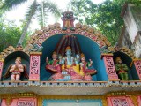 india-3101.jpg