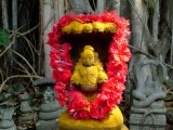 india-3119.jpg