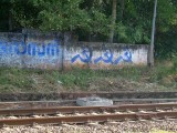 india-3362.jpg