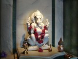 india-5806.jpg