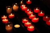 Light9399.jpg