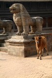 Nepal2869.jpg