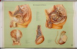 AVM V 17 05 010 000.jpg