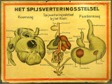 AVM V 17 05 042 002.jpg